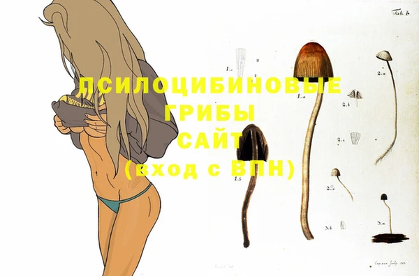 Альфа ПВП Абаза