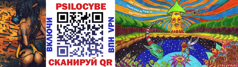 Галлюциногенные грибы Psilocybine cubensis  Химки 