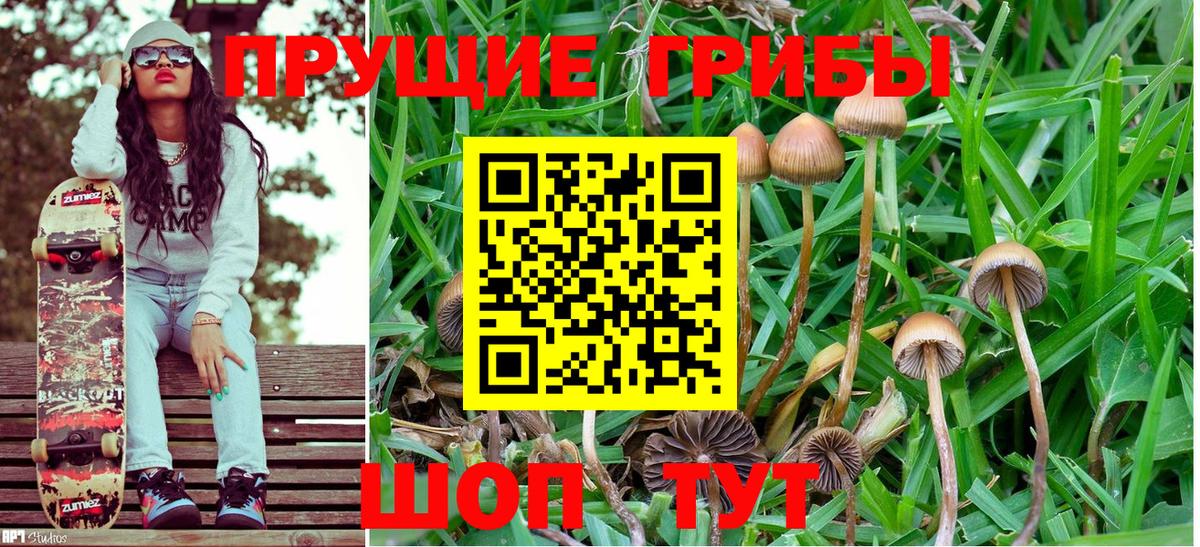 Химки  Галлюциногенные грибы GOLDEN TEACHER  Вход с VPN 